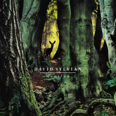 David Sylvian -  Manafon